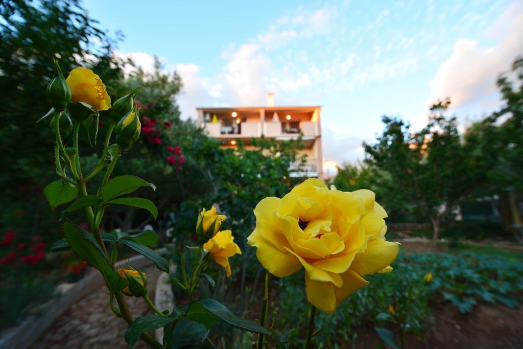 Apartments Silvana Sunset View Задар Экстерьер фото